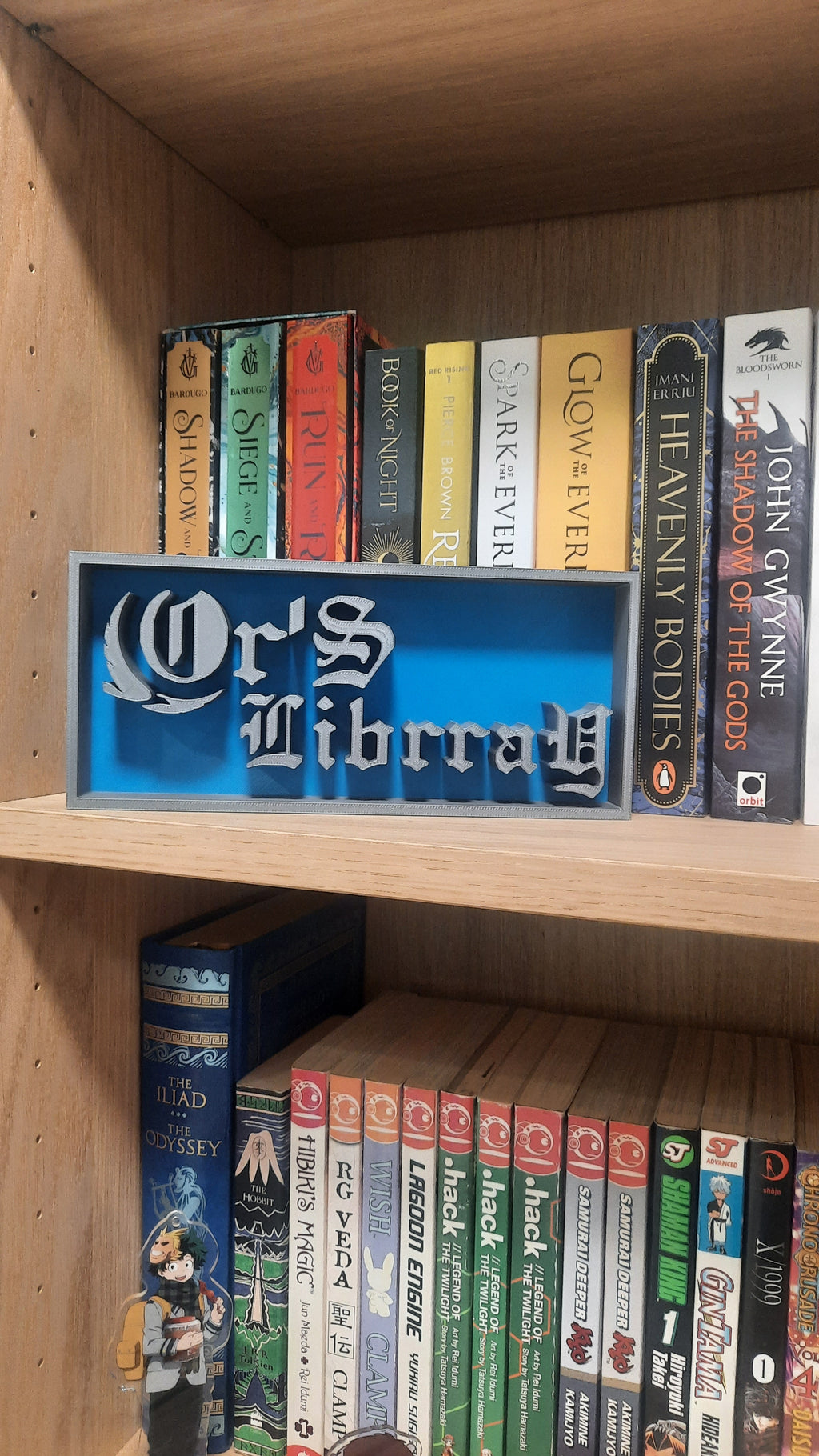 LIBRARY SIGN