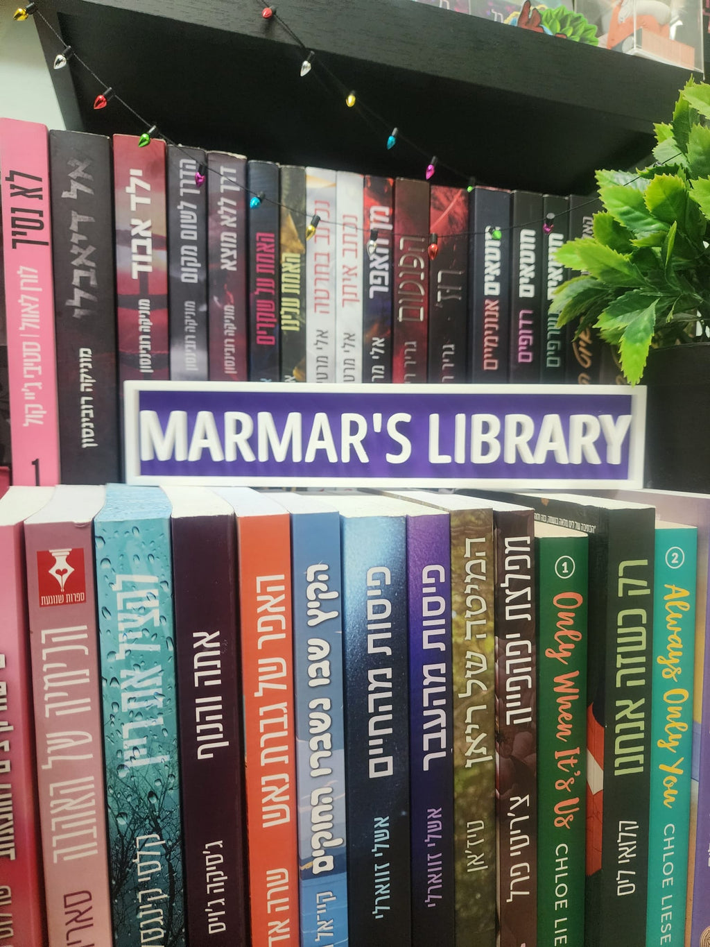 LIBRARY SIGN